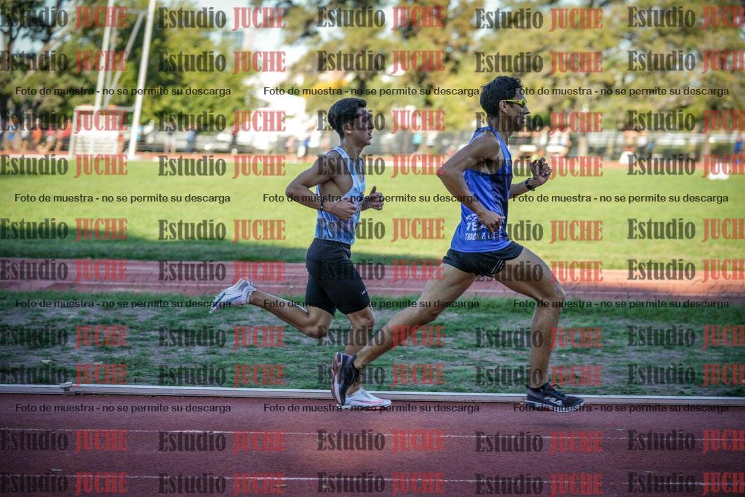 Fotos de los 3000 m llanos de varones
