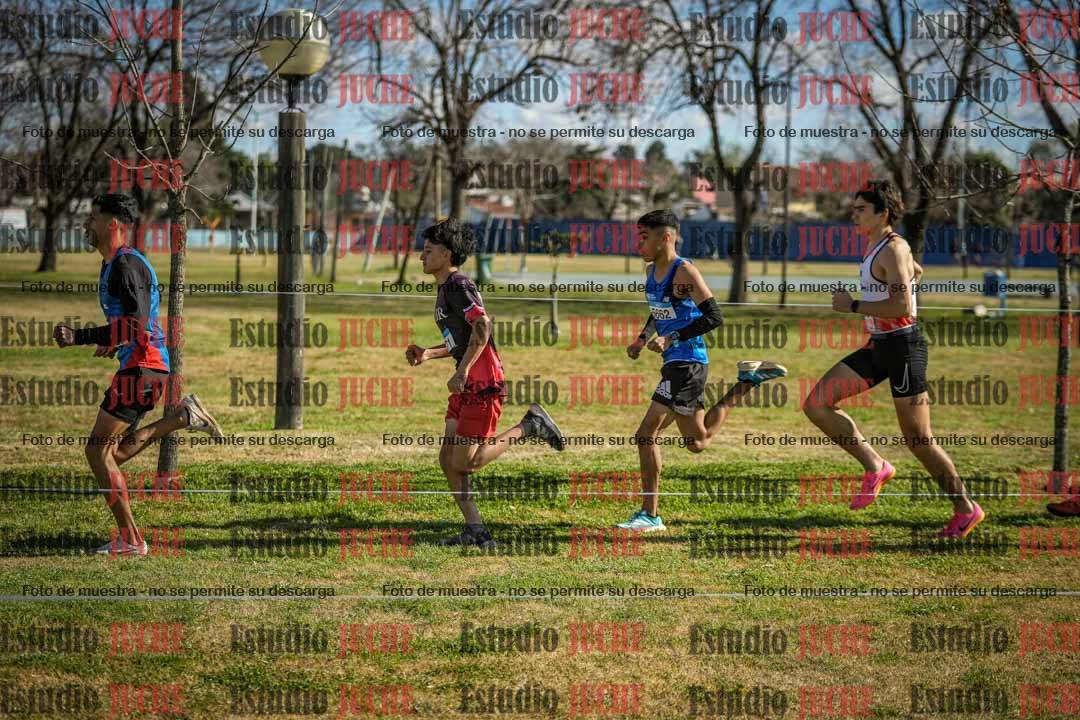 Fotos en el circuito