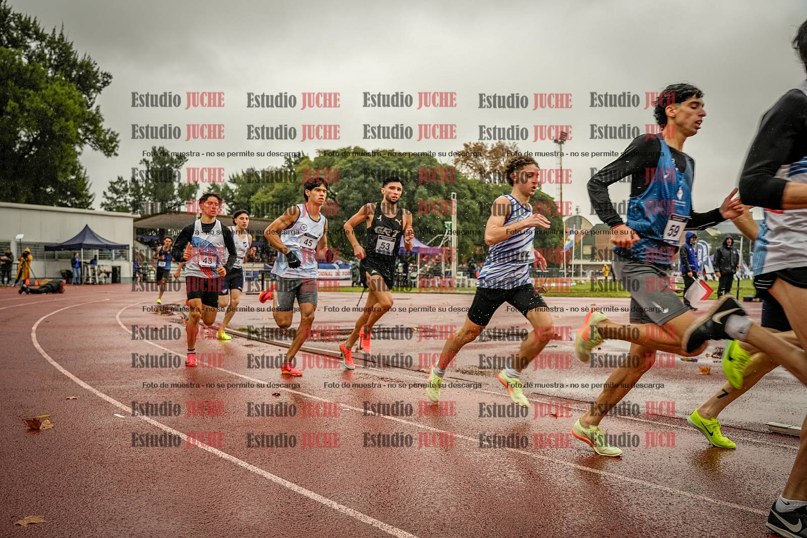 Fotos de los 1500 m llanos de varones
