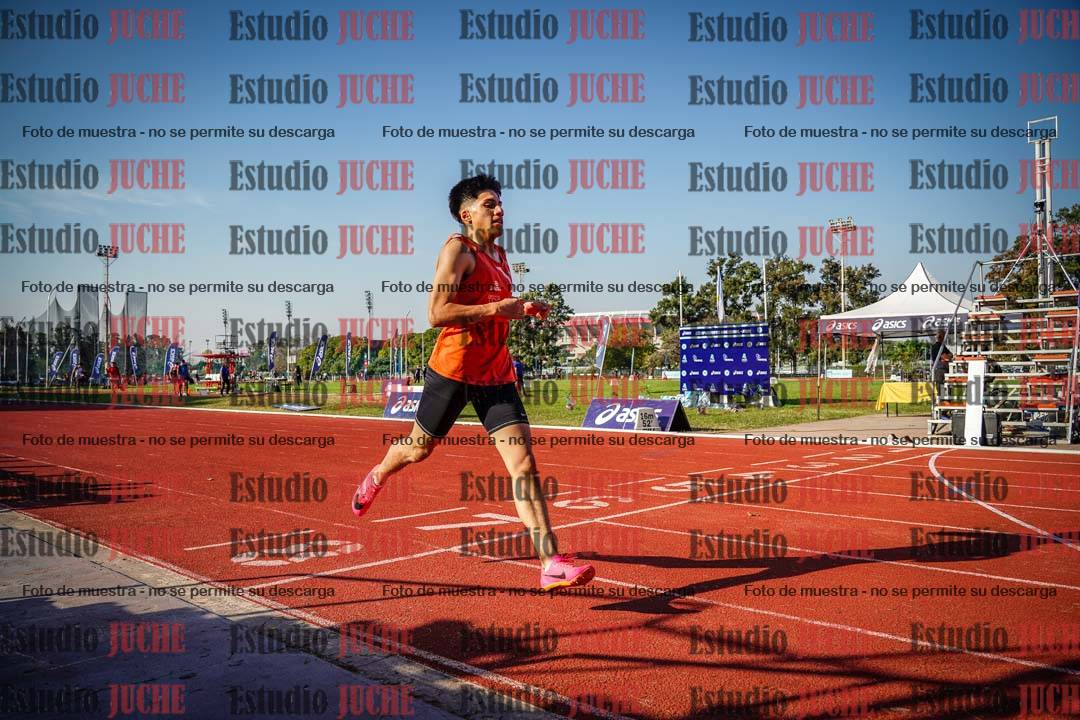 Fotos de los 400 m con vallas de varones
