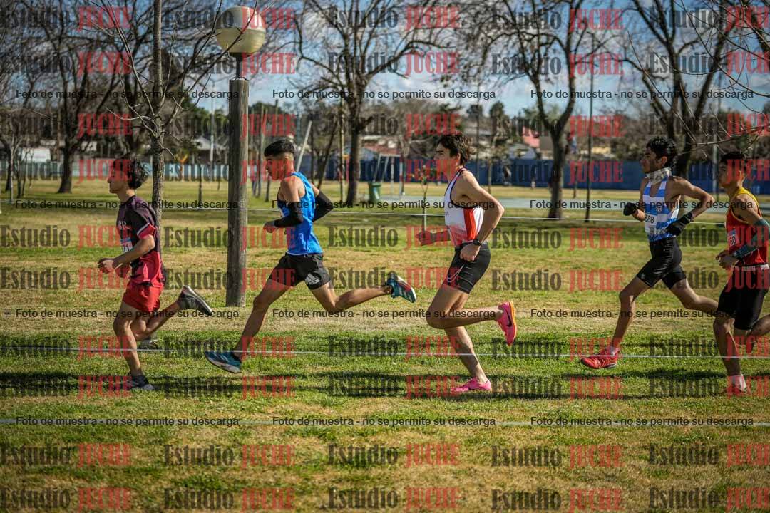 Fotos en el circuito