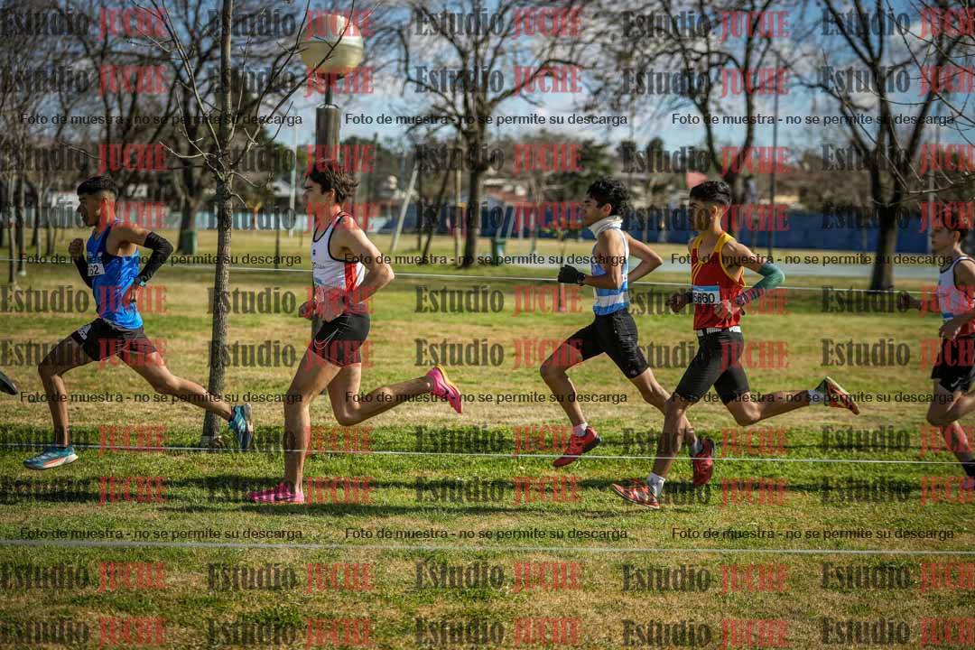 Fotos en el circuito
