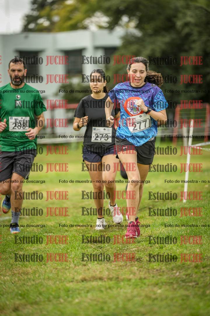 Fotos en el circuito