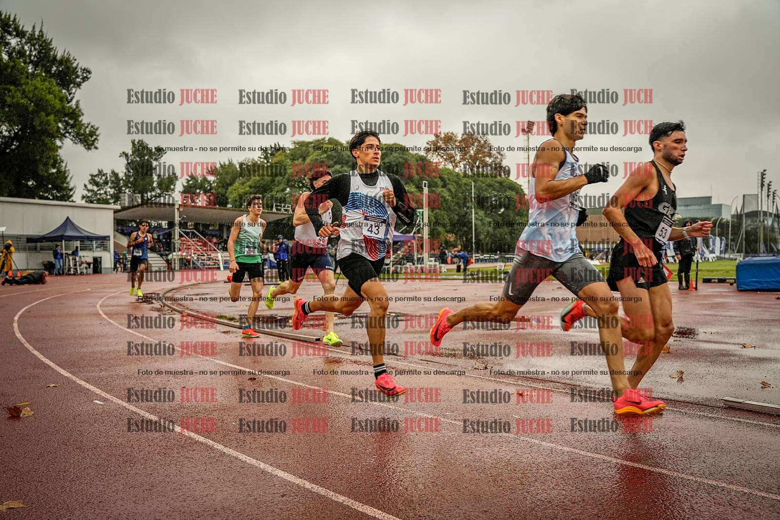 Fotos de los 1500 m llanos de varones