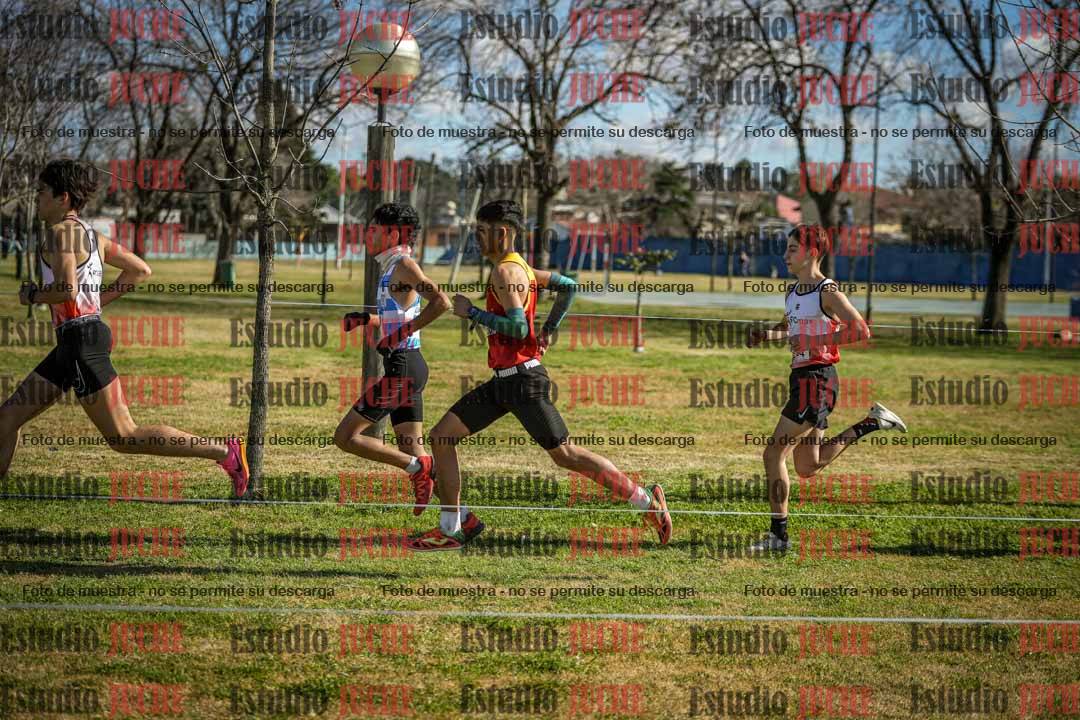 Fotos en el circuito