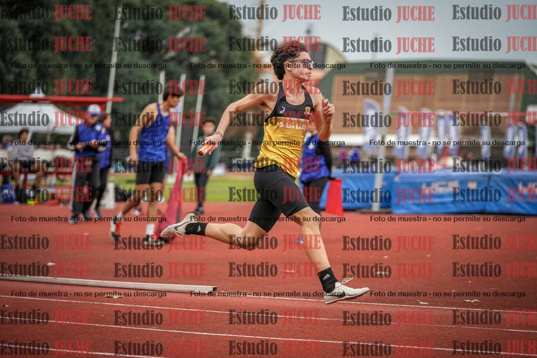Fotos de las postas 4x100 m llanos de varones