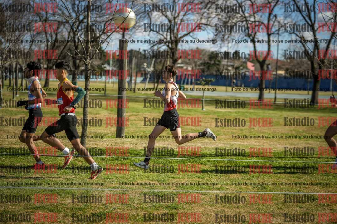 Fotos en el circuito