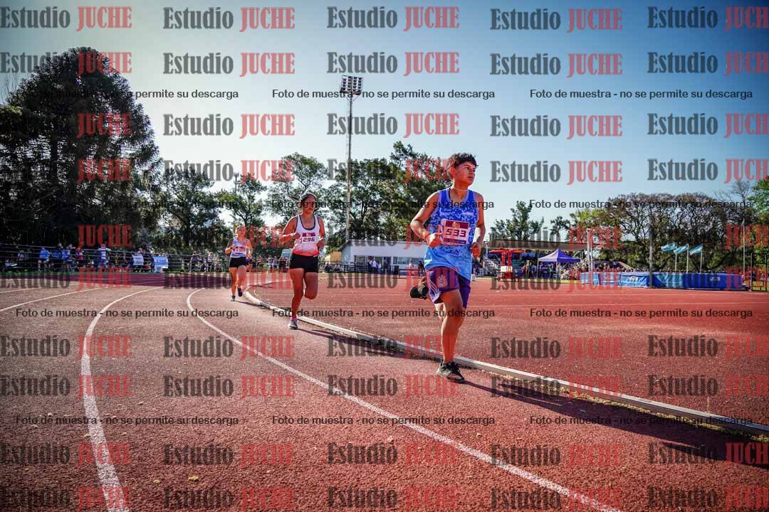 Fotos de los 1500 m de mujeres