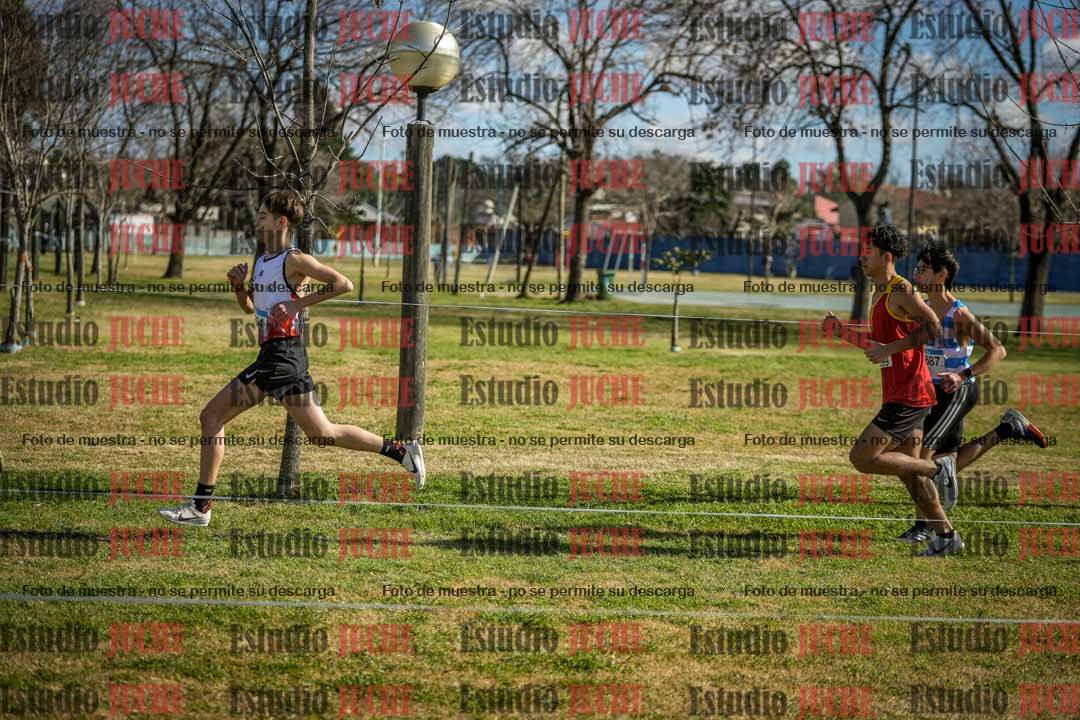 Fotos en el circuito