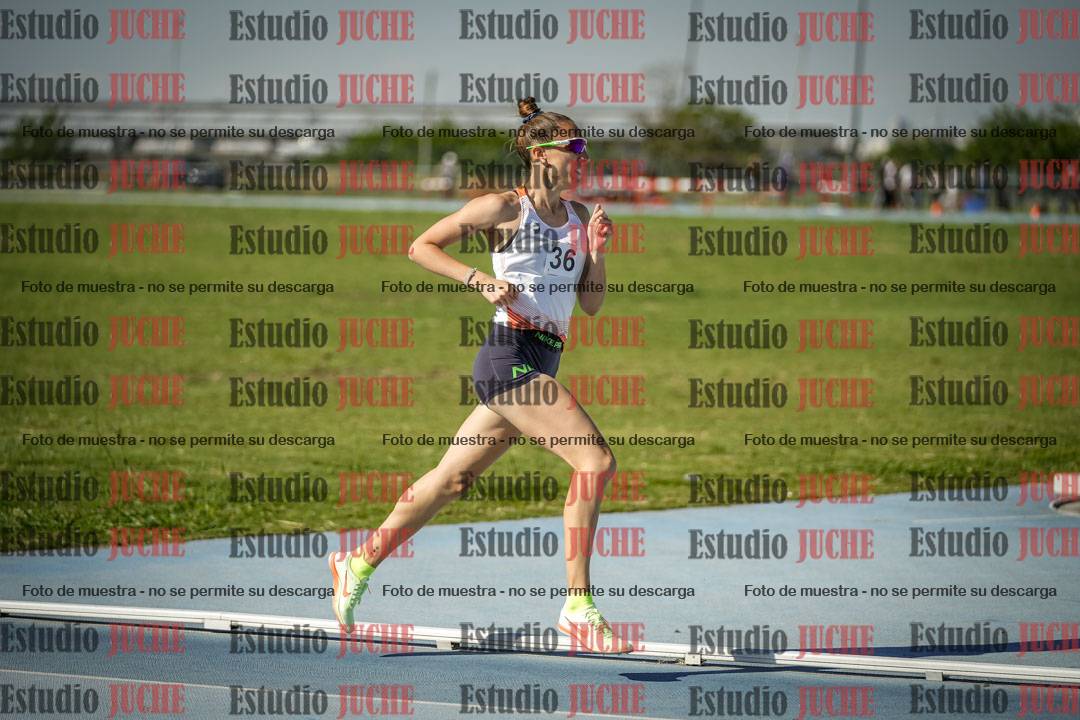 Fotos de los 1500 m llanos de mujeres