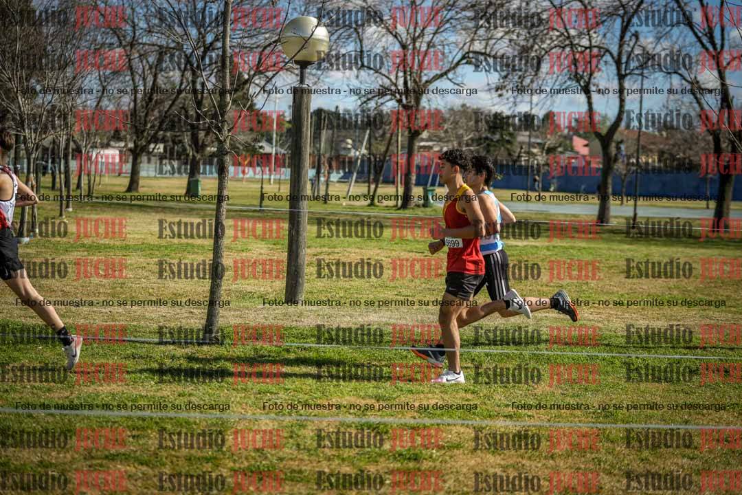Fotos en el circuito