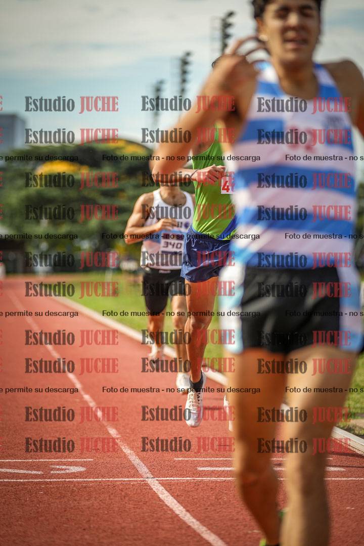 Fotos de los 800 m llanos de varones