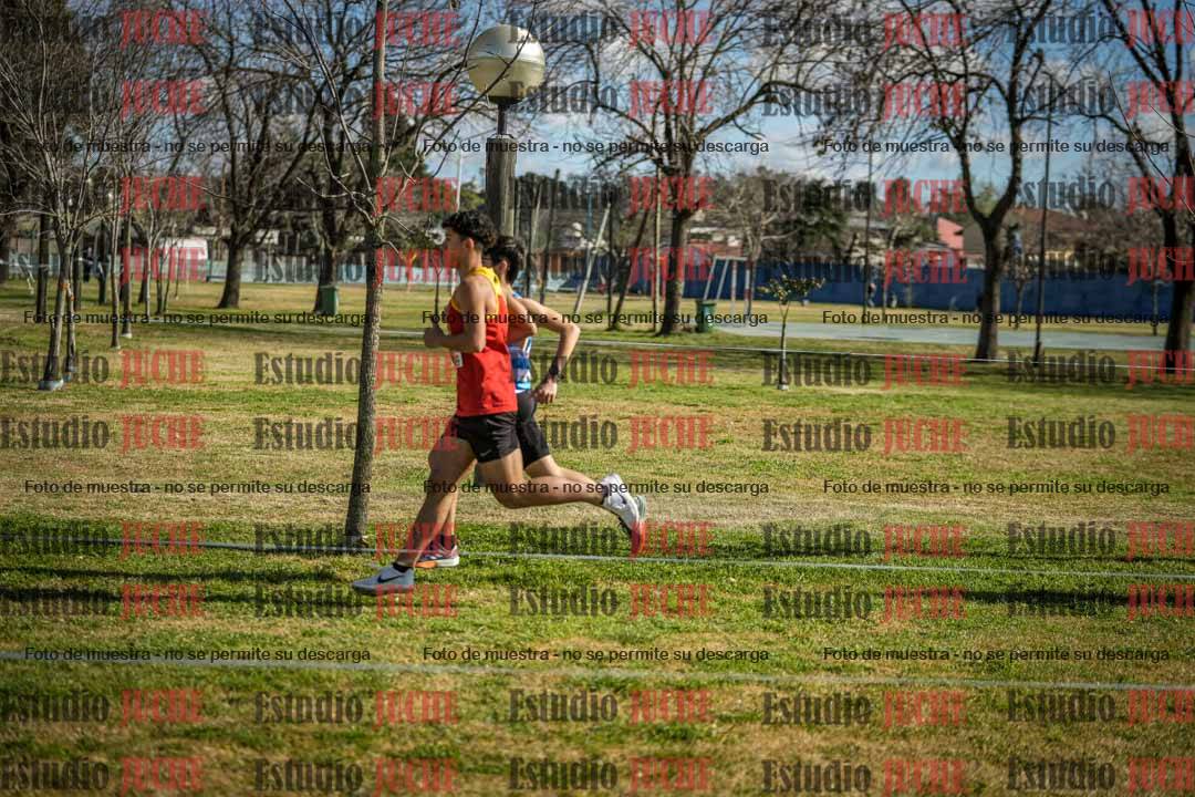 Fotos en el circuito