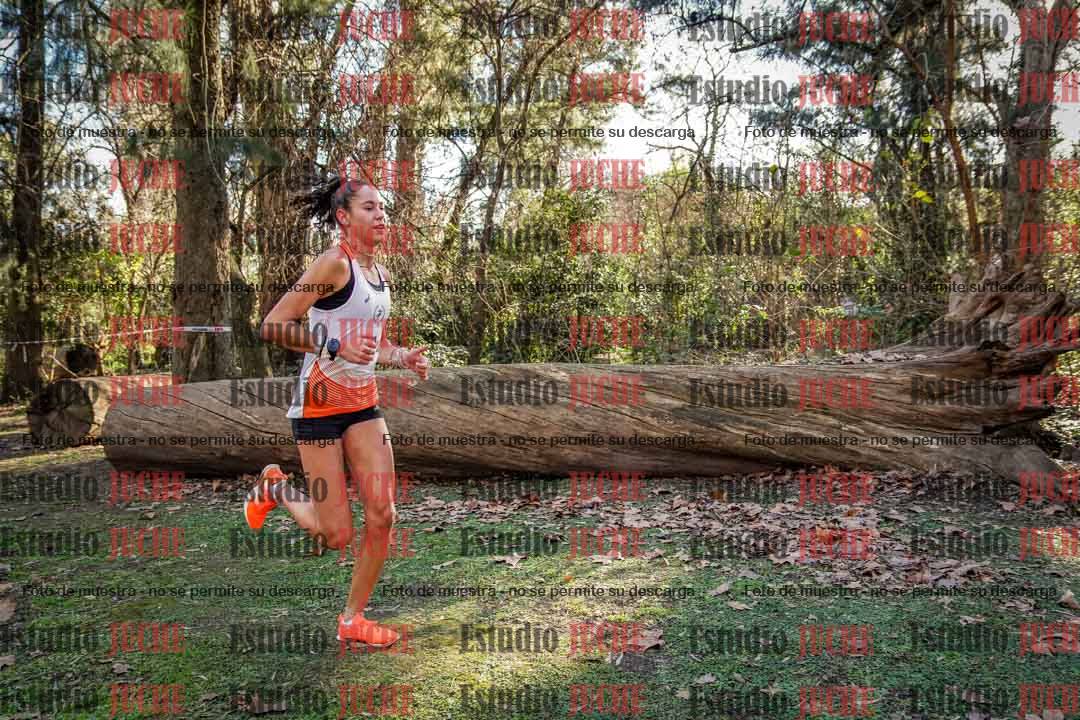 Fotos en el quinto punto del circuito