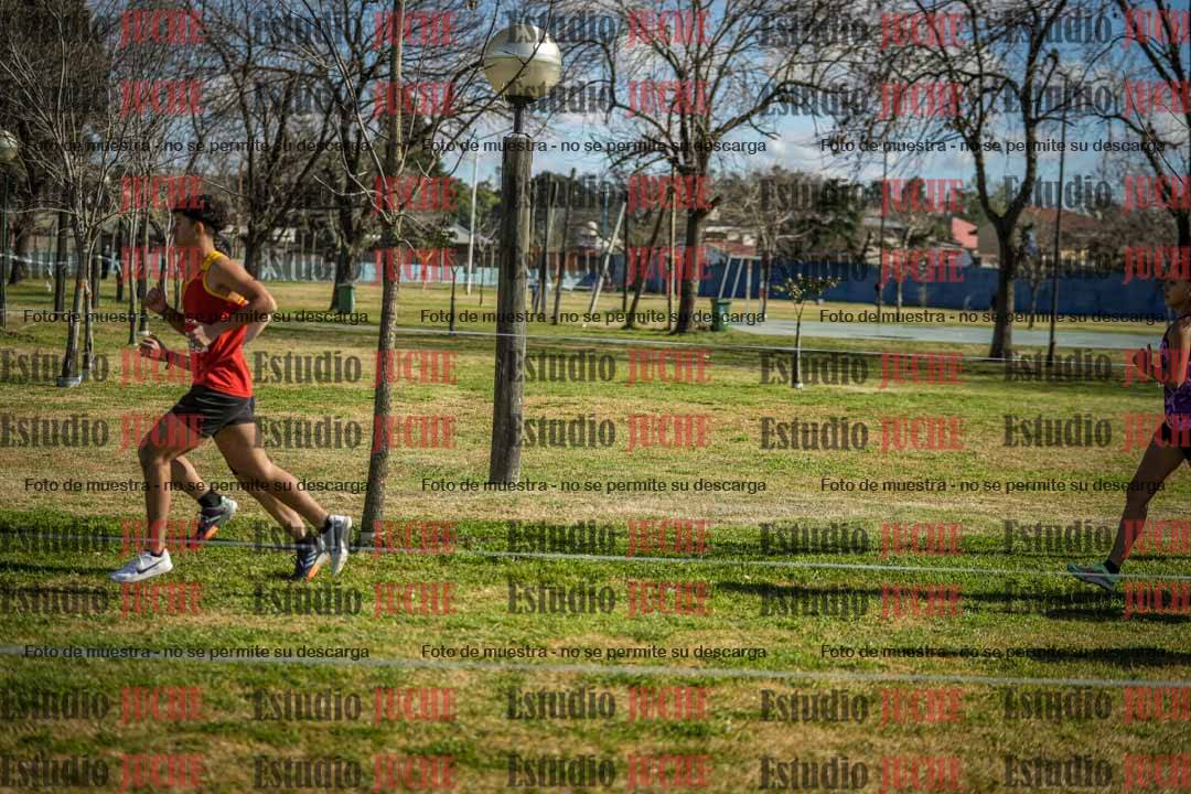 Fotos en el circuito