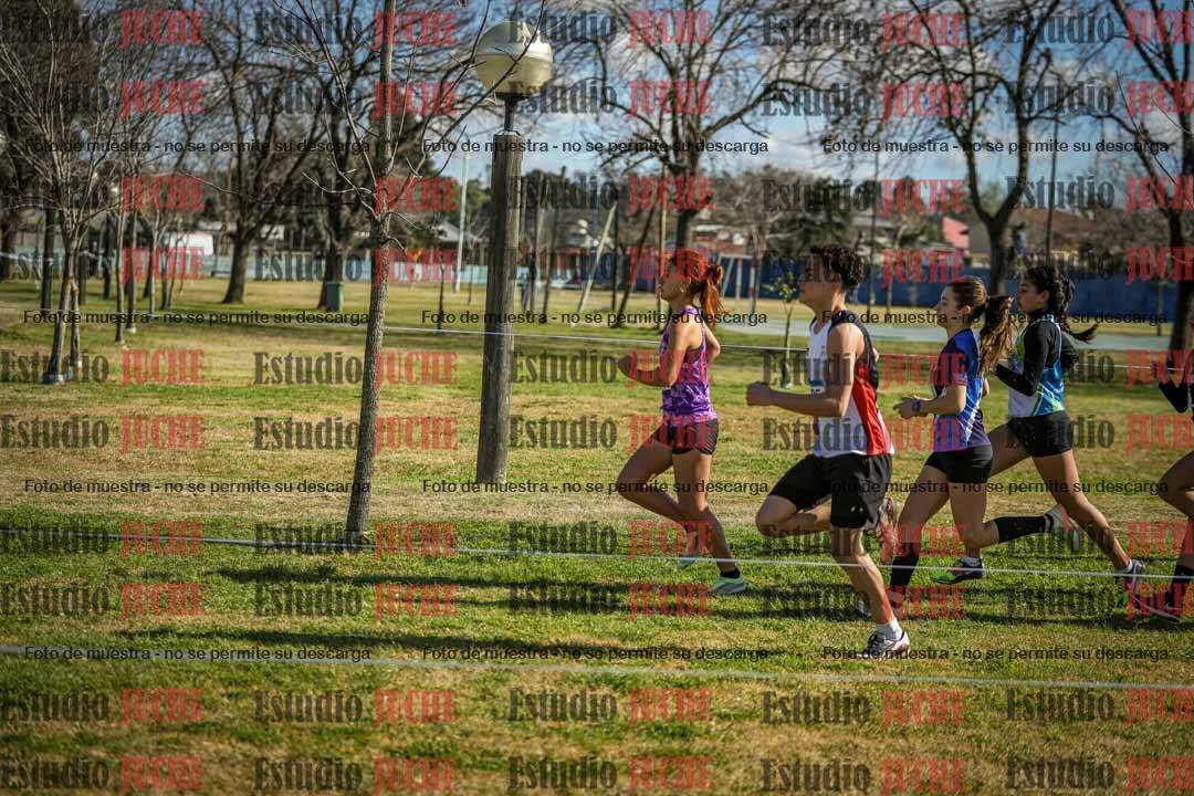 Fotos en el circuito