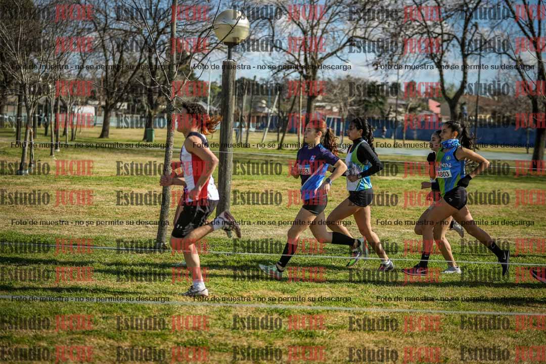 Fotos en el circuito