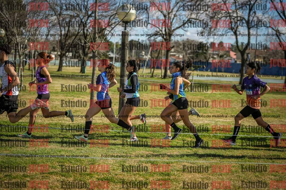 Fotos en el circuito