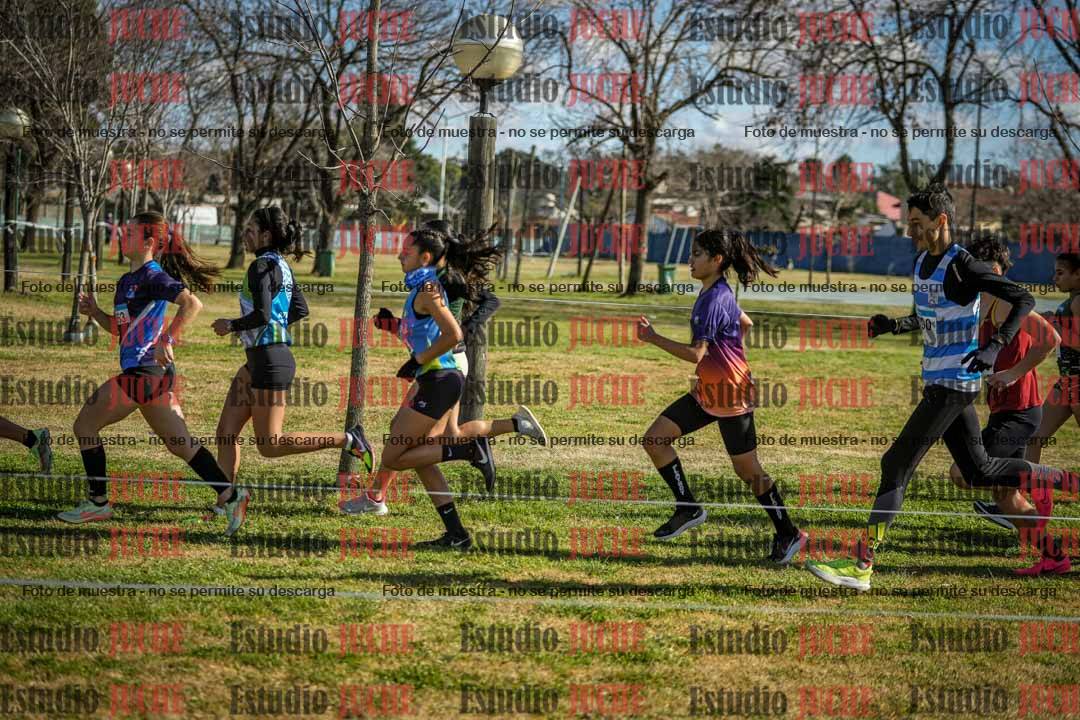 Fotos en el circuito