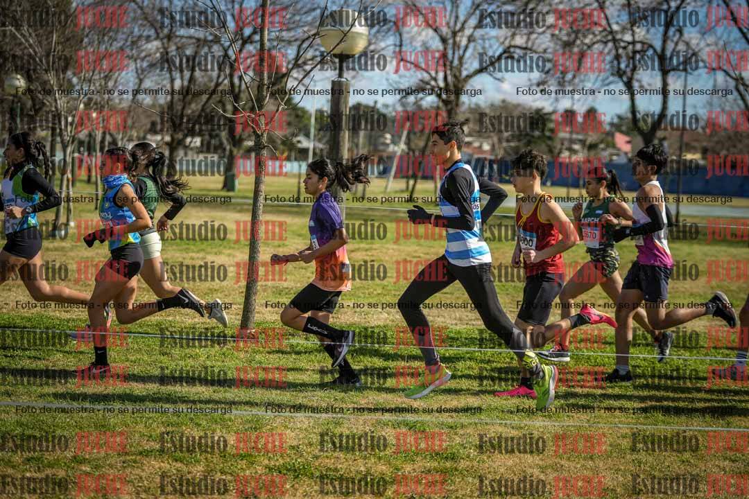 Fotos en el circuito