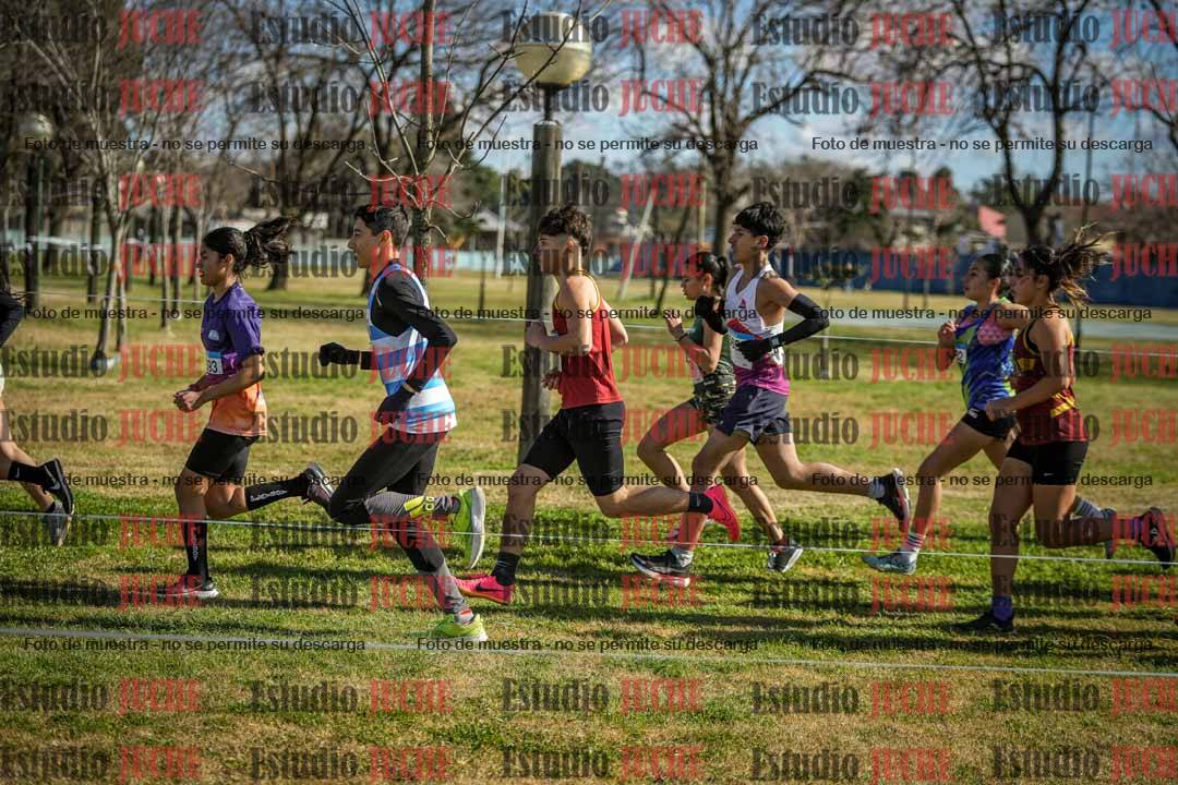 Fotos en el circuito