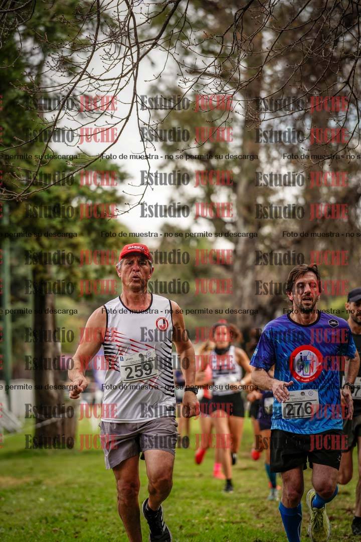 Fotos en el circuito