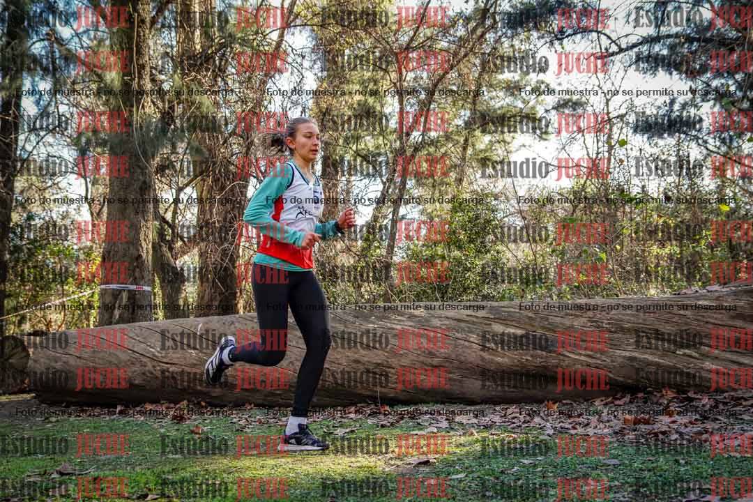 Fotos en el quinto punto del circuito