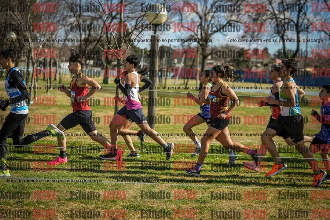 Fotos en el circuito