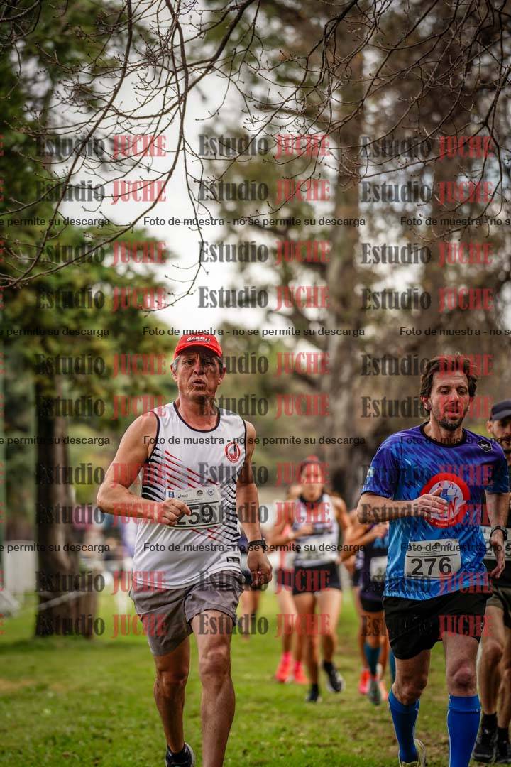 Fotos en el circuito