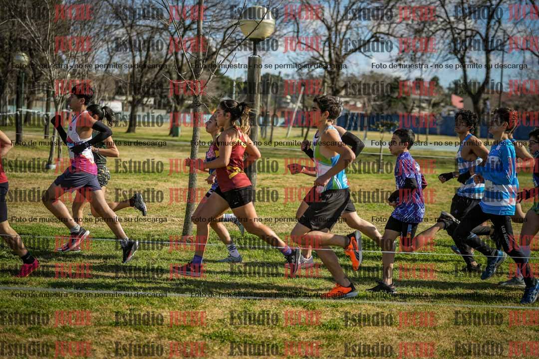 Fotos en el circuito
