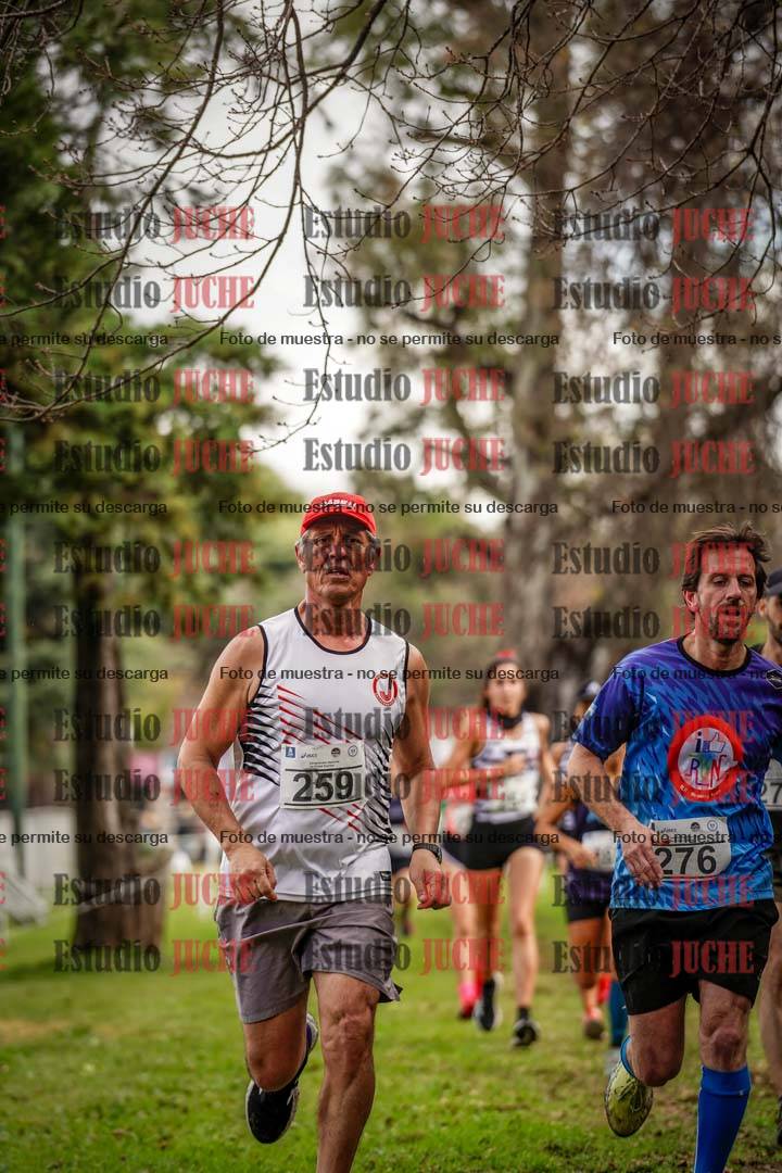 Fotos en el circuito