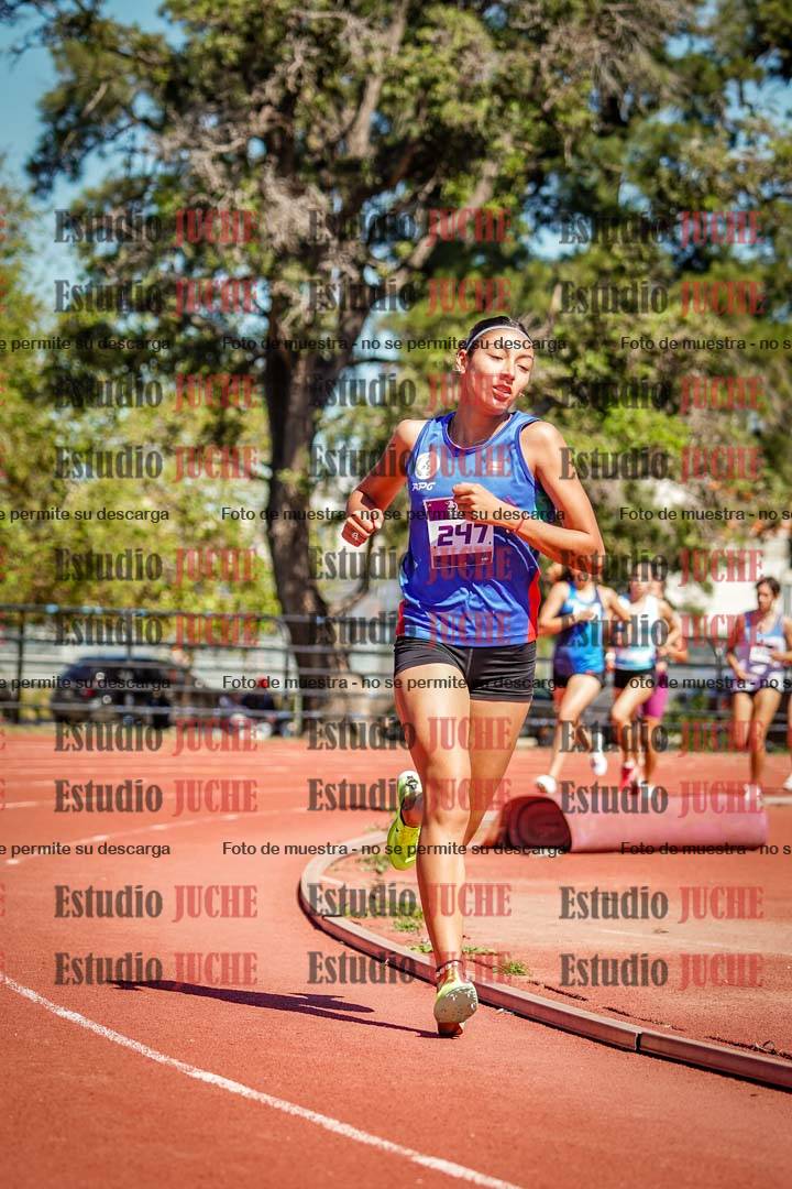 Fotos de los 1500 m de mujeres