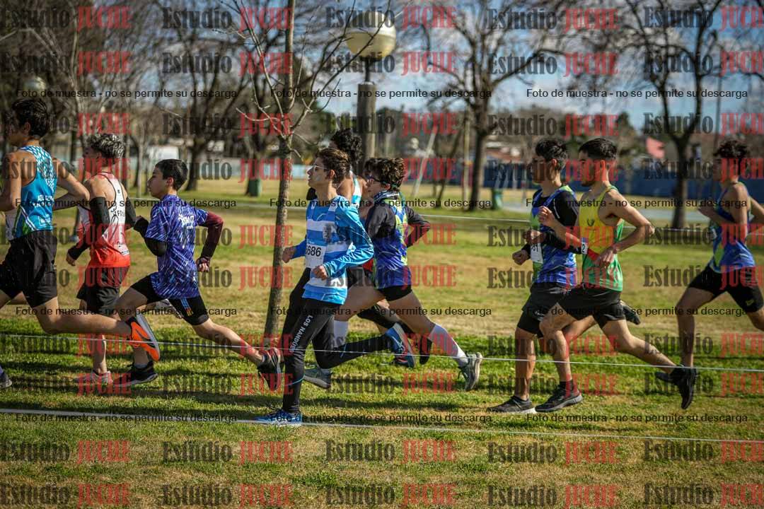 Fotos en el circuito