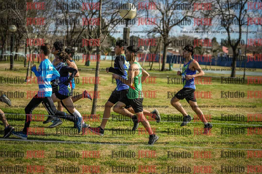Fotos en el circuito