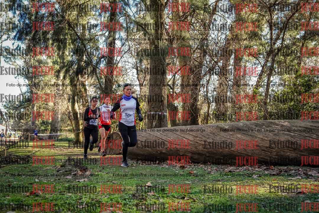 Fotos en el quinto punto del circuito