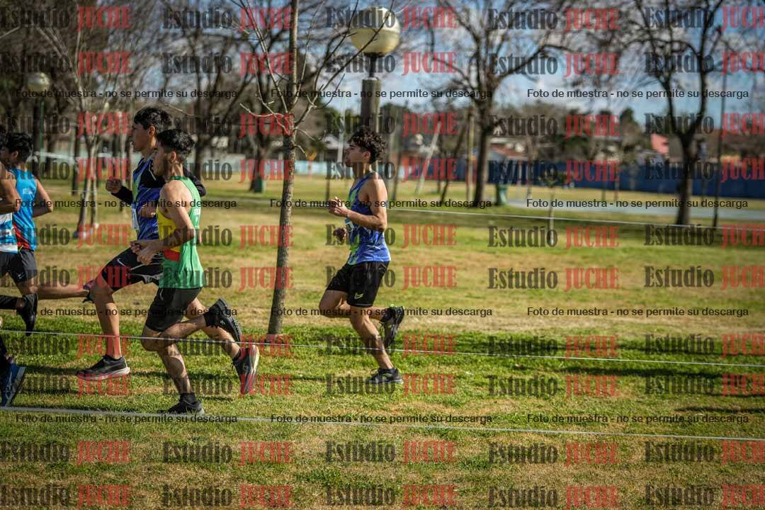 Fotos en el circuito