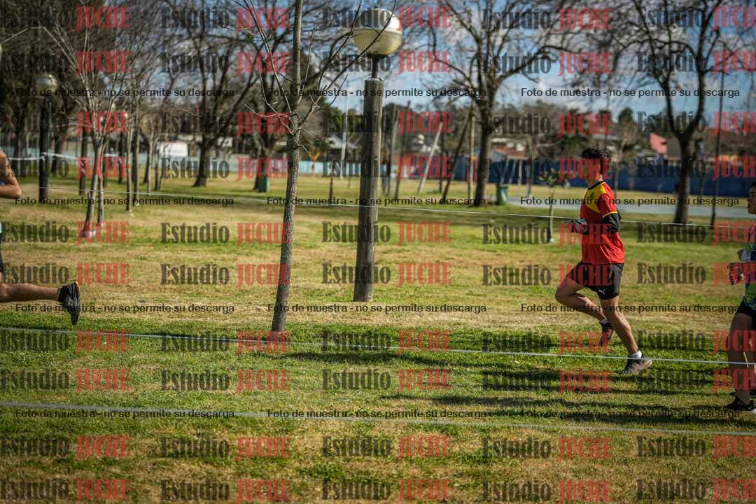Fotos en el circuito
