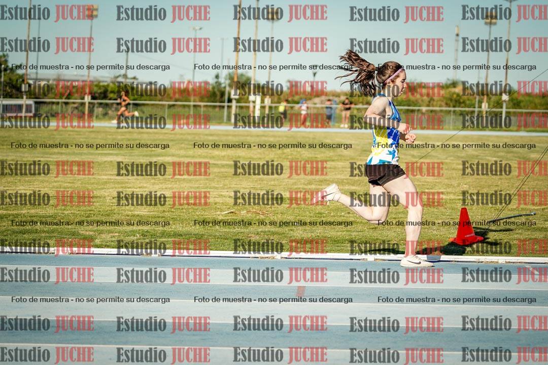 Fotos de los 1500 m llanos de mujeres