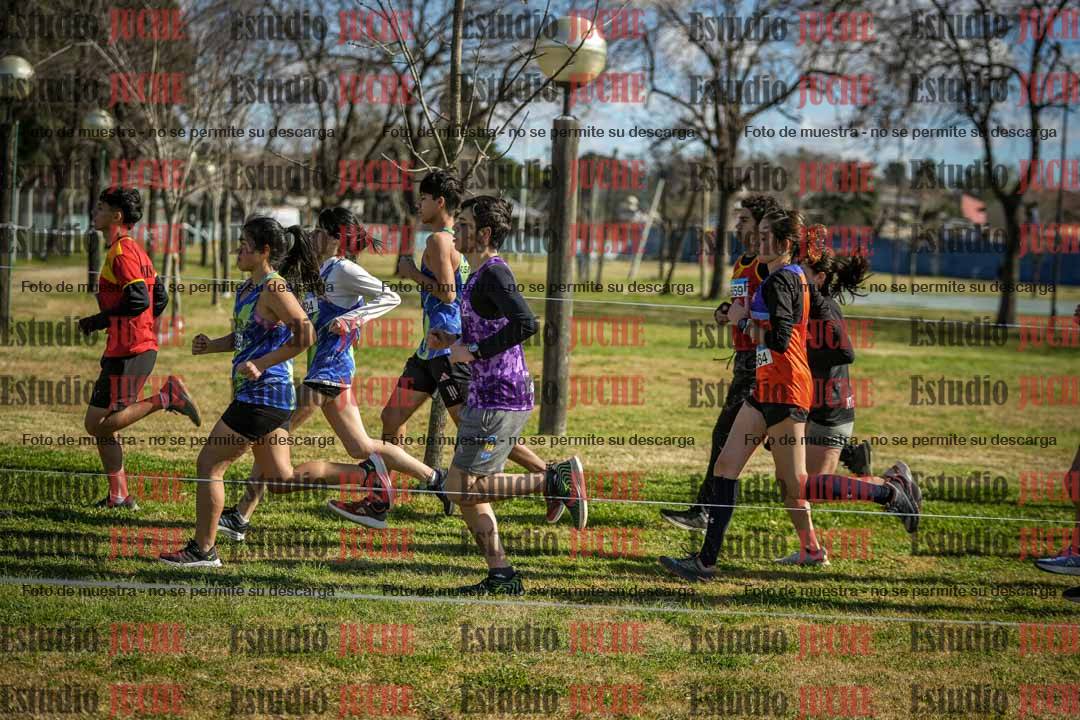 Fotos en el circuito