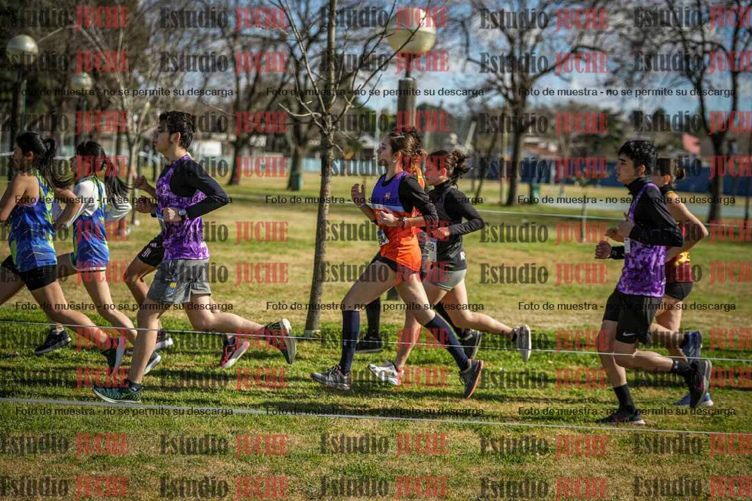 Fotos en el circuito