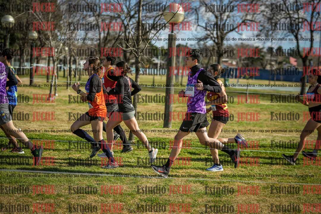 Fotos en el circuito
