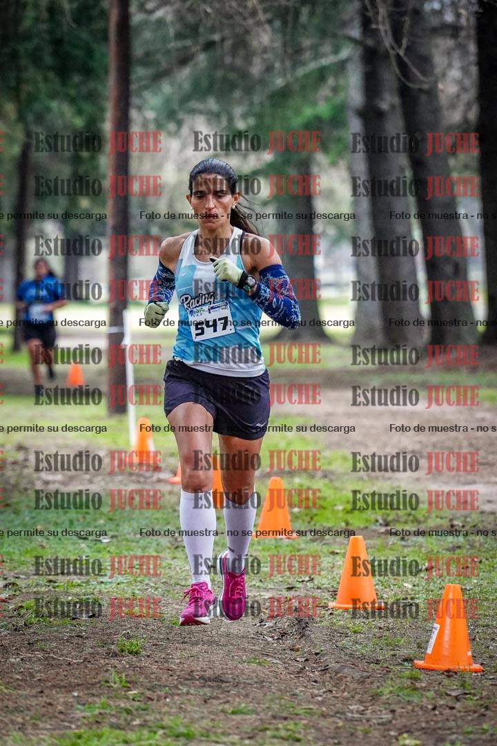Fotos en el circuito