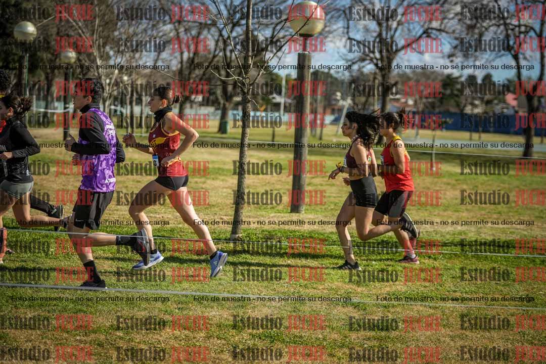 Fotos en el circuito