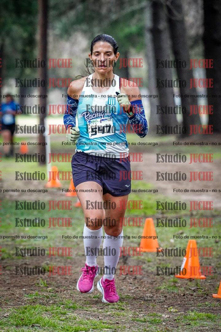 Fotos en el circuito