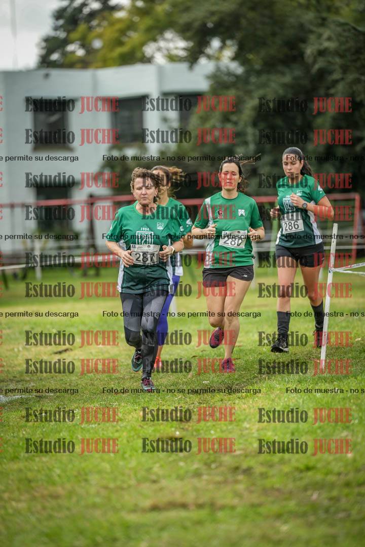 Fotos en el circuito