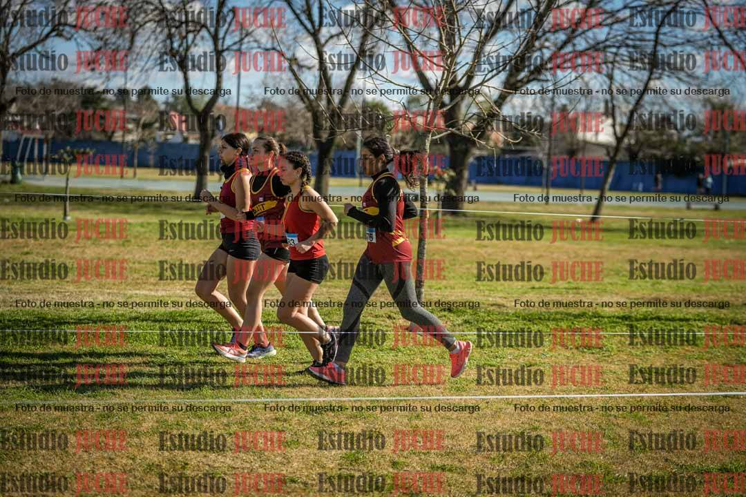 Fotos en el circuito