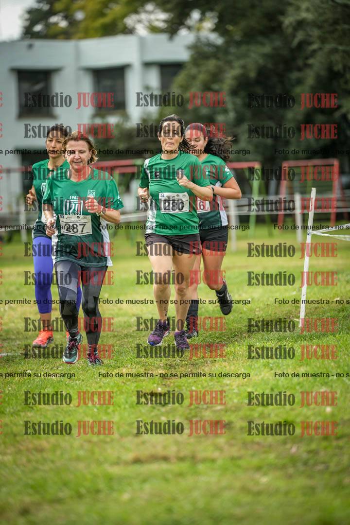 Fotos en el circuito