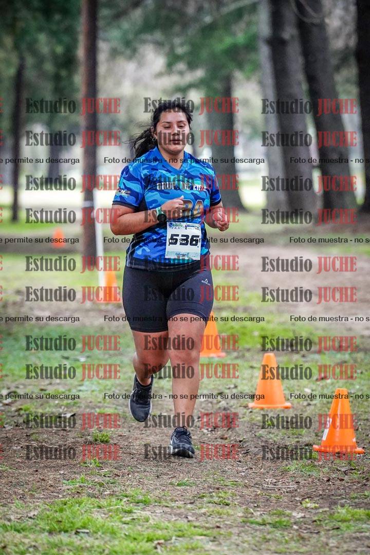 Fotos en el circuito