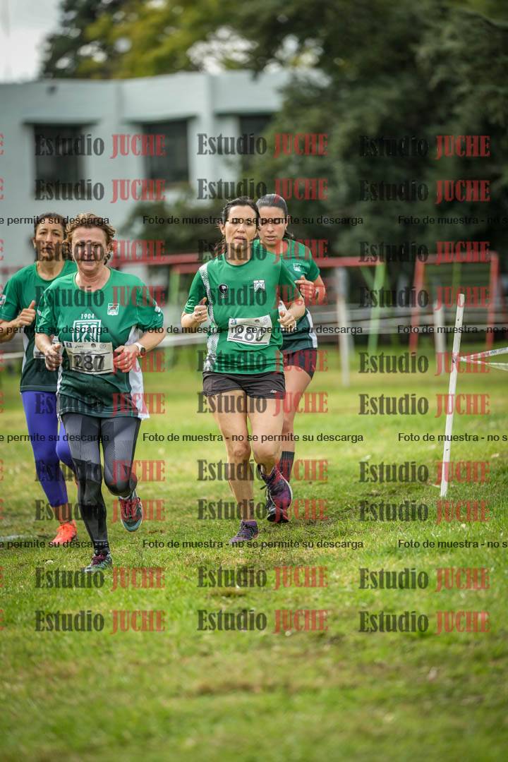Fotos en el circuito