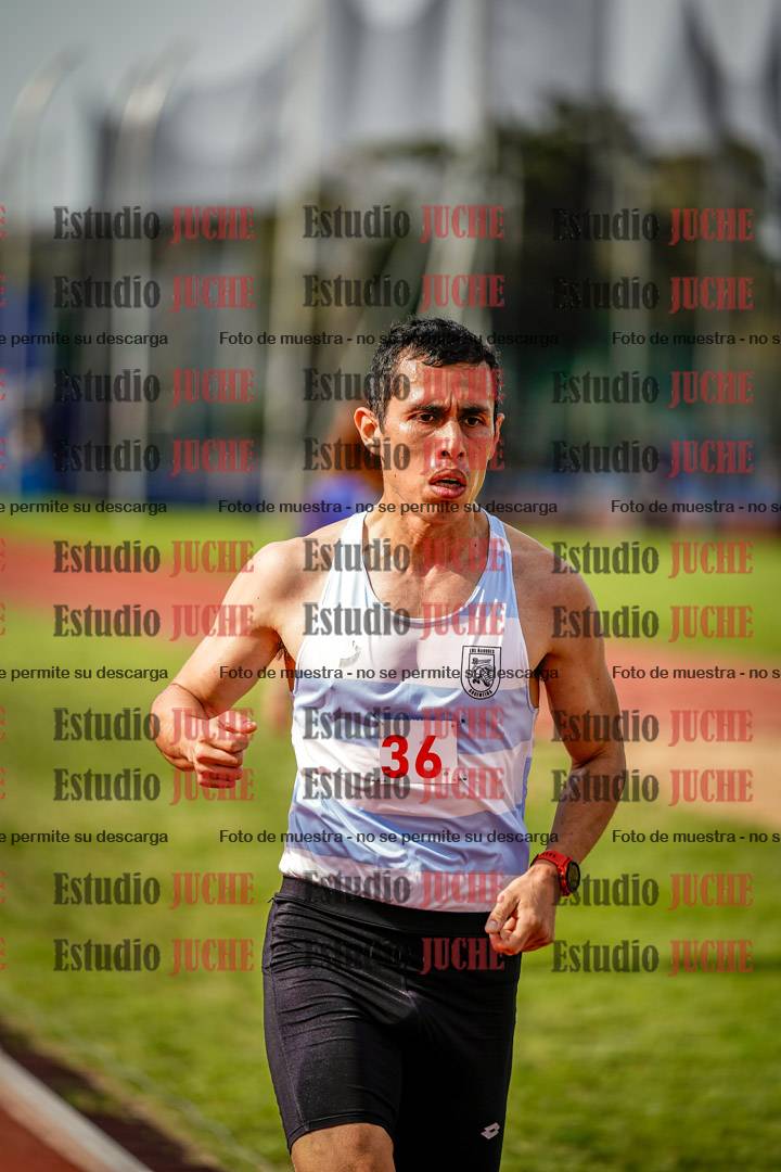 Fotos de los 3000 m llanos de varones